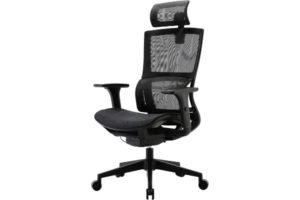 XUER Ergonomic Office Chair