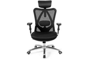 Giantex Ergonomic Office Chair